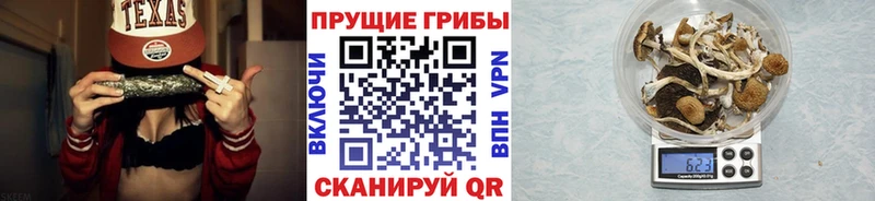 что такое Оленегорск Галлюциногенные грибы мухоморы